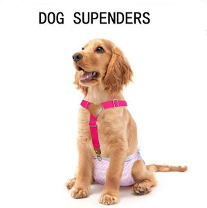 ʋC o ybgpi U pc h~ ^ bV 킢 (x2) ނJo[ p ^ ߉\  n[lX ^ TXy_[t