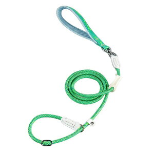 IWF ΐF p[h v Up F op hbO[V ^p \ F ɂ iC