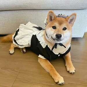 RXvߑ hX RXv Ch Ch L [X t nEC  ^ nEB p  ^ Ch [^ nECߑ RXv s[X Lp 