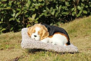 {݂̓ LY  p_ imTCY im imL C  L Ɨp ԗpL ԗp tHAfqh  im EL u L