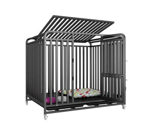 ^ P[W ^  P[W ybgP[W  ybg ^ t   ybgT[N Q[W pgCt