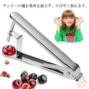 TN{ TUV I[u 픲 Ȃ  WÂ t[c Xg[i[ ڂ̎  I[u픲 XRƔċC  Ȃ I[u