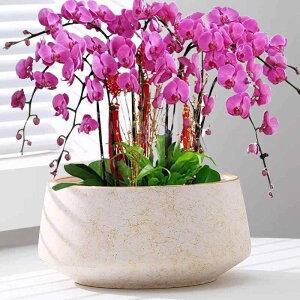 Aؔ  Ӓ ϗtAp |  u 퐻  Z~bN a ^ ~` Vv i k  _   