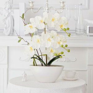 A  Ӓ   z CeA sNn p[v   Be