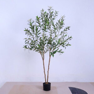 ϗtA k I[u̖ CeA ^ 150cm 180cm 210cm tFCNO[ rO  Q  ubNvX`bN