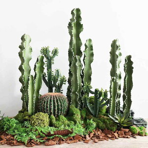 CeA G l tFCNO[ T{e A 񂹐A k  ϗtA fR[V vX`bN