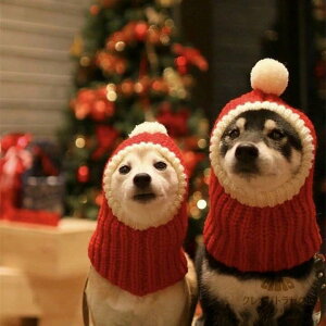  j RXv 킢 NX}X Lp T^N[X L蕨 Lbv jbgXq  Xq NX}XEFA H~ }t[ bh nbg p T^Xq  nEC 