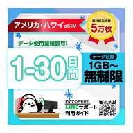 【アメリカeSIM ハワイeSIM】1日間 2日間 3日間 4日間 5日間-30日間プラン｜AT&T｜高速データ1日あたり50…