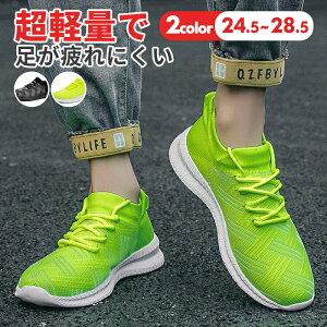 yIzXj[J[ fB[X Y JV~A ^C V[Y [Jbg ubN JWAV[Y  y ʊw Xb| jOV[Y WjA ʋ X|[