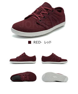 yOIL̑pIz 4EXj[J[ Y fB[X    bV  L EH[LOV[Y ₷ 傫TCY 3e w X|[cV[Y 24cm ʋ 