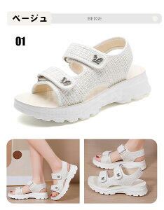 ySizT_ fB[X  T|T_ EH[LOV[Y X|[cT_ ܐȂ T_ Xb| ƂȂ Cq[ NbV r Xb| 