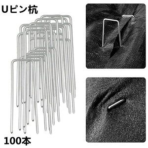 UsY us 100{ hV[g Œp lH s U^s }Y Y _Ɨplbg 10cm _ K[f K[fjO ƒ؉ pi p h V[g