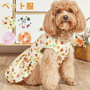 ybg   L hbOEFA s[X 킢 c   hbOxr[ t  킢 ` ybg  Ck  IV ̕ L̕ Be Lp p[eB[