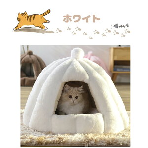 y[zh[^ ybgxbh H~p ybgnEX NbVO\ Lp LbgnEX gnEX 薰 ۉh 􂦂 ΍ ybgpi Lp ^p