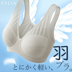 「 まるで羽のような軽さ 」 ブラジャー メッシュ レディース ブラ メッシュブラ ノンワイヤー ノンワイヤーブラ 下着 インナー 薄手 軽い コンパクト 通気性 ムレない 夏用 ズレない シンプル ストレスフリー 快適 楽 大きいサイズ M L XL 黒 グレー 夏 秋 ESLIA エスリア