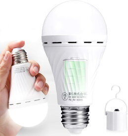 【送料無料】DanYee 防災電球 LED電球 停電時自動点灯ライト E26 60W 相当 2000mAhバッテリー内蔵 810lm 電球色 蓄電型LED電球 バッテリー 停電感知センサー内蔵 懐中電灯 LED 充電式 ランタン 小型 防災 地震対策 停電対策 (電球色【4個】)