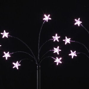 LEDX^[tFXisNj WG-1451PI NX}X C~l[V