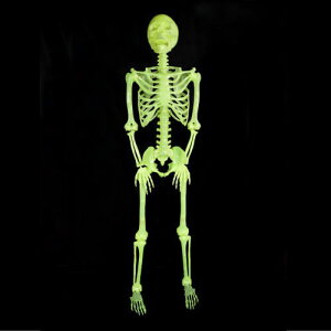 fBXvC~KCRciLj nEB HW-1199