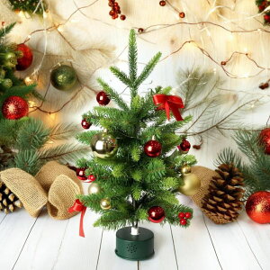 LEDtmfBbNc[iEh~[WbNj WG-25651 NX}X C~l[V