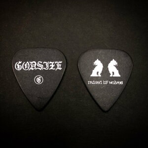 yESPcXzy[\zGODSIZE PICKiSbhTCYsbN / 1j[sbNApickAM^[Ax[X]