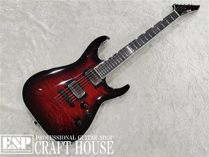 yESPcXzy[\zE-II E-II HORIZON NT-II / See Thru Black Cherry Sunburst
