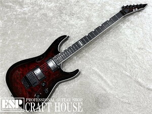 yESPcXzE-II HORIZON FR-II / See Thru Black Cherry Sunburst[GLM^[Aguitar]