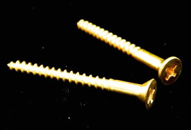 【ESP直営店】【Floyd Rose】FU-Tone Claw Upgrades / Claw Springs Brass Screws (2本セット)[フロイドローズ/トレモロ/パーツ]