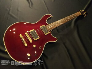 D HIDE-ZOU Model g