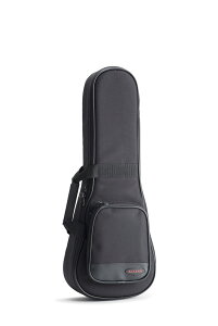 yESPcXzy񂹏izACCESS / AB1CU1iRT[gTCYEENpobOj