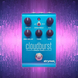 �yESP���c�X�z�y�����񂹏��i�zStrymon CloudBurst [�A���r�G���g�E���o�[�u][�G�t�F�N�^�[�Aeffectspedal]