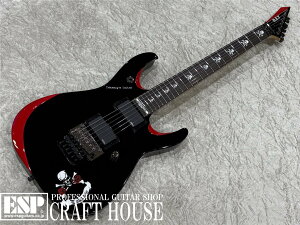yESPcXzy[\zO.Z.Y Takamiy's Guitar [THE ALFEE  rF Signature Model ]