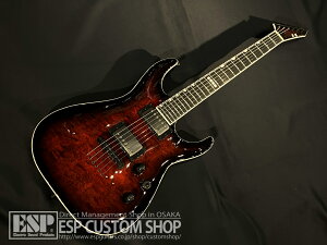 yESPcXzy[\zE-II HORIZON NT-II See Thru Black Cherry Sunburst [ESP CUSTOMSHOP()蔭]