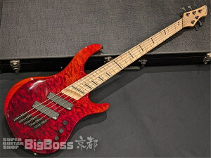 yESPcXzAcacia Guitars(AJVAM^[Y) Atlas 5strings / Red Dip y[\z[BIGBOSSs蔭]
