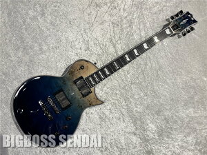 yESPcXzy[\zE-II EC BM / Blue Natural Fade [BIGBOSS蔭]