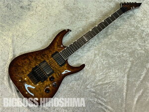 yESPcXzy[\zE-II HORIZON FR-II/Tiger Eye Sunburst [BIGBOSSL蔭]