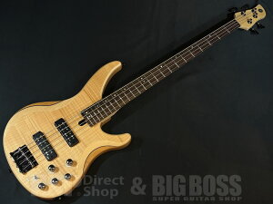 �yESP���c�X�z�y���[�\�zYAMAHA (���}�n) TRBX604FM NS [ESP CUSTOMSHOP(���)��蔭��]