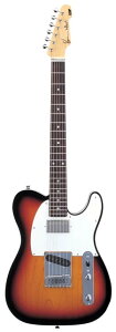 yESPcXzESP RON WOOD SIGNATURE MODEL/3TS[GLM^[Aguitar]