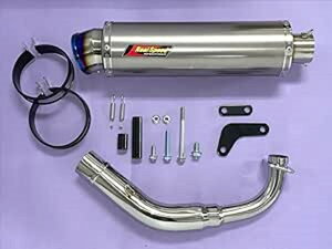 Realspeed �V�O�i�XX125 �o�C�N�}�t���[ BC-SE12J EBJ-SE44J 1�^ 2�^ 3�^ �������f�� ���e�I �`�^���\���b�h�}�t���[ �t���G�L �J�X�^�� �p�[�c �h���X�A�b�v ���� �ЊO�i ���A���X�s�[�h ���}�n CYGNUS-X