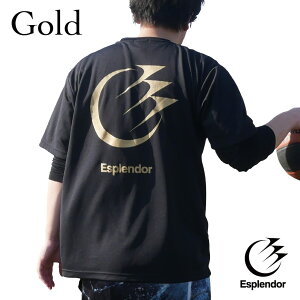 EsplendoriGXv_[j@obNvg TVc@(S[h) oXP@TVc@oXPEFA@@K@Y@fB[X@WjA@X|[c@EGA   