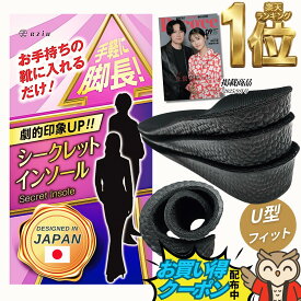 【マラソン開始4時間20%クーポン】＼楽天1位／《Poco'ce掲載×専門家監修》シークレットインソール ［理学療法士監］ 身長アップ メンズ レディース インヒール 男女兼用 eziu