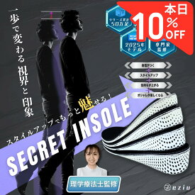 【8/5限定☆P5倍＆10％クーポンで1062円～】【理学療法士監修】 シークレットインソール 【選べる4サイズ】 インソール 身長アップ インヒール 男女兼用 eziu 2cm 3cm 4cm 5cm
