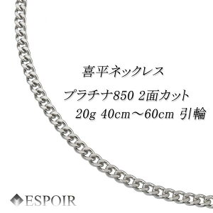 Vi v`i850 약 lbNX PT850 2ʃJbg 20g 40cm 50cm 60cm ǌ}[N  Y fB[X LwC `F[