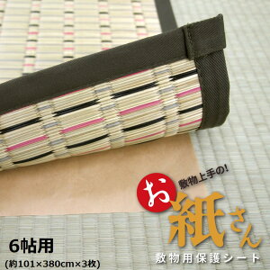 ~̉ɁI̕یV[g 6 6p ~̉ɕ~Ń_j̔ELYEh~یV[g t[Jbguv  990300570