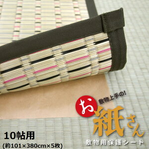 ~̉ɁI̕یV[g 10 10p ~̉ɕ~Ń_j̔ELYEh~یV[g t[Jbguv  990300585