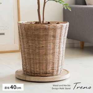 360x]ňړɃX[Yɓv^[X^h Trenoig[mj ؖڕ MST-400 嗝Ε MST-D400 {쏊