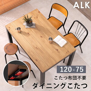 ANDK _CjOR^c 120×75 2iK zcX pC˔ gq[^[ R^c _CjOe[u Ɠd g[ IV X^CbV e[N ݑ ؖڒ ALK 2090987700