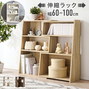 XChbN RCC-1130 60cm`100cm Lk I[vbN bN X^CbV {I ɖ{ W R~bN  ȏ  G{ G CD DVD u[C Lb` Ƌ
