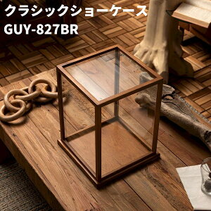KXP[X AeB[N tBMA Wt fBXvC RNVP[X V[P[X ؐ KX NVbN Be[W g i` u GUY-827