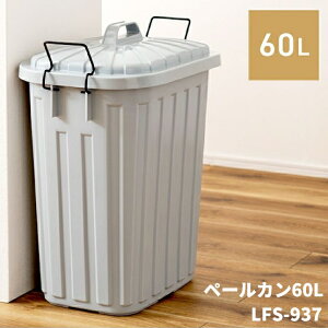 S~ O  60L t^t e ݔ Wt Lb` XNGA Vv fUC p^  AEghA ~^[ AJ A[~[ jO CeA X[p[J 60L LFS-93
