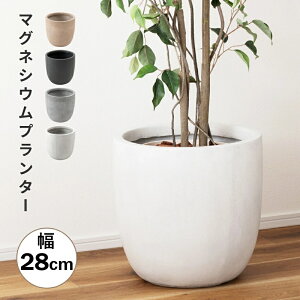 v^[ 28cm   Aؔ  킢 Jo[ ϗtA IV Vv i` O[x[X A jAXJ[ }bg ݃J[ A GRNB-210